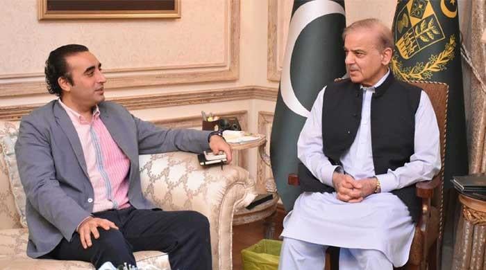 PM Shehbaz constitutes committee to ‘resolve issues’ with PPP