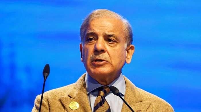 PM Shehbaz to attend Joint Arab Islamic Summit in Saudi Arabia