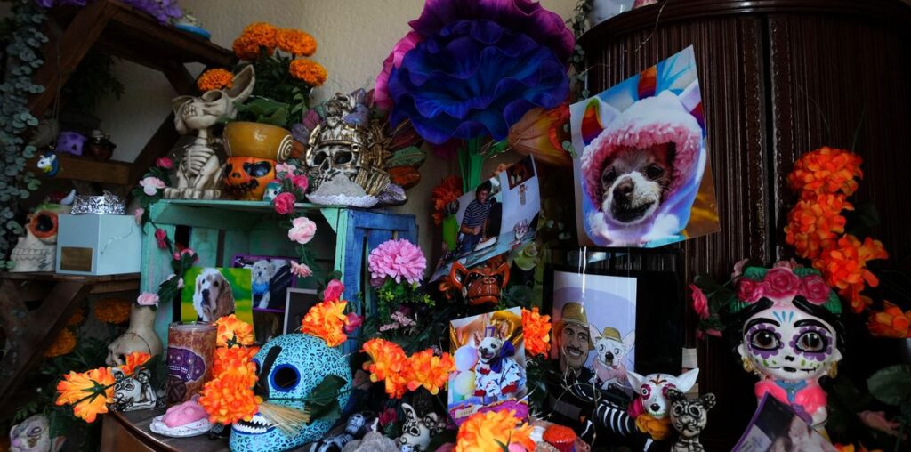 Pets Join Mexico's Day Of The Dead Celebrations