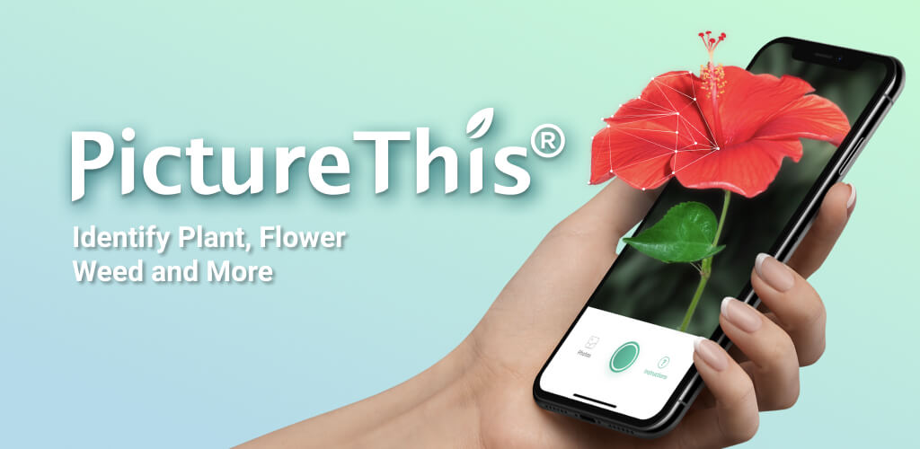 PictureThis v5.0.13 MOD APK (Premium Unlocked)