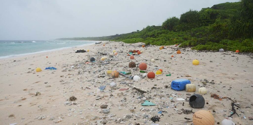 Plastic waste, a big problem that is not addressed in Yucatan - The Yucatan Times