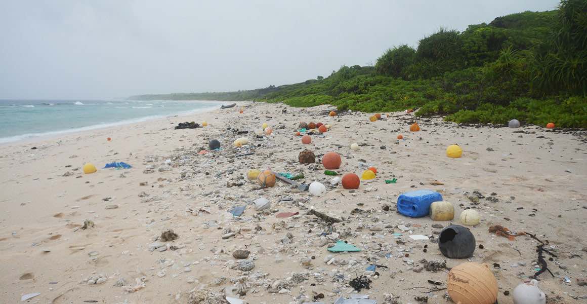 Plastic waste, a big problem that is not addressed in Yucatan – The Yucatan Times