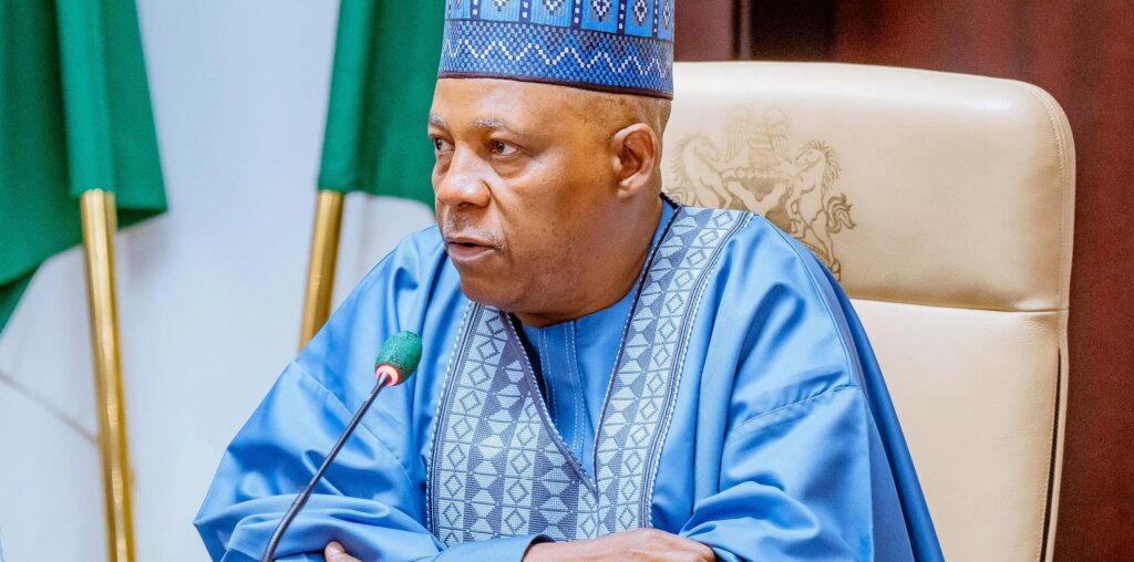 Protest: Go home, become responsible citizens - Shettima tells released minors