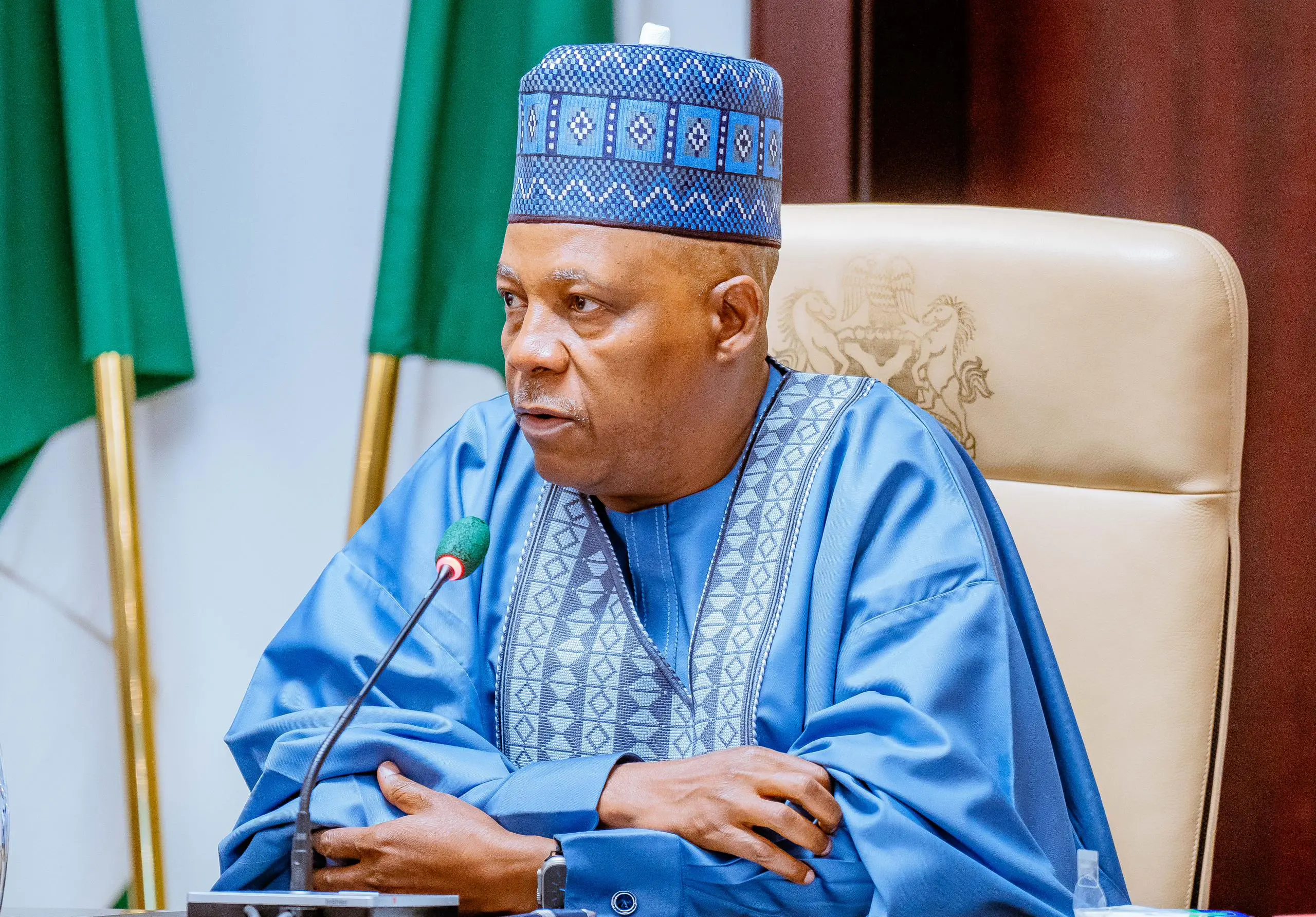 Protest: Go home, become responsible citizens – Shettima tells released minors