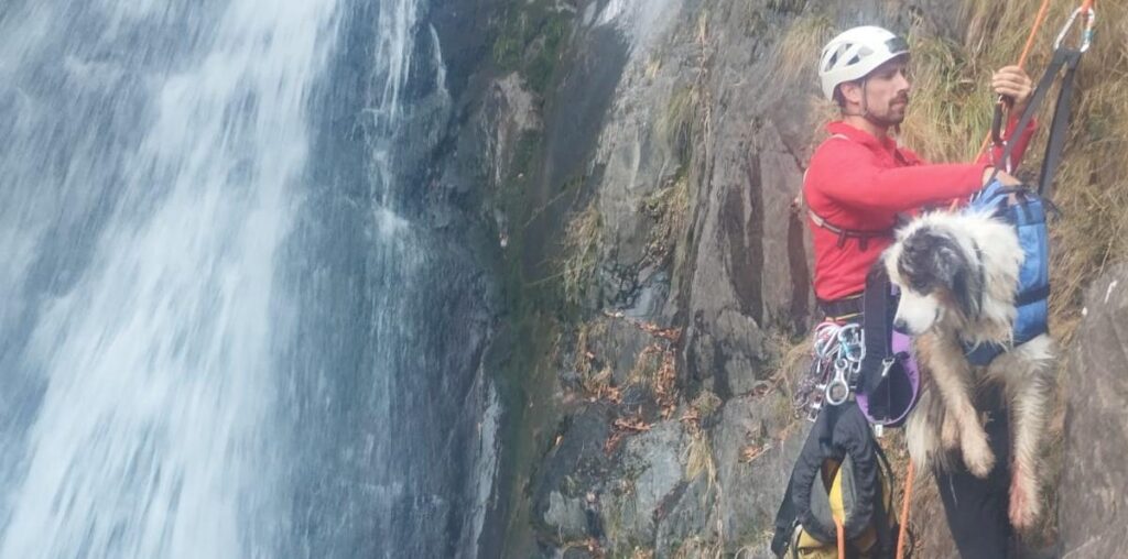 Pyrénées : « Miraculeusement indemne », un chien secouru par les pompiers après une chute de 50 mètres