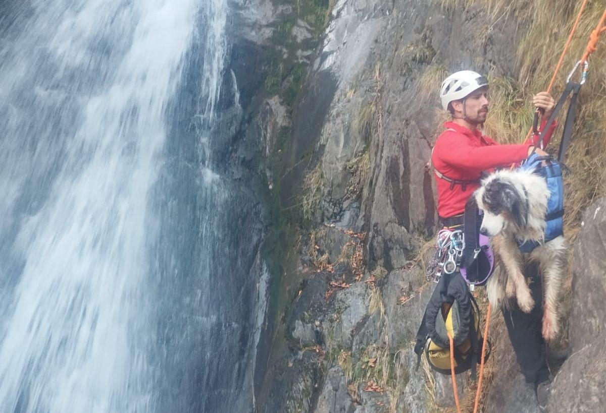 Pyrénées : « Miraculeusement indemne », un chien secouru par les pompiers après une chute de 50 mètres