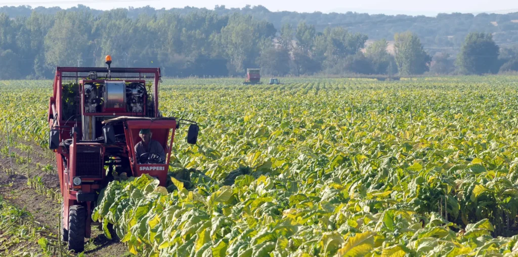 Record Growth in Brazilian Agribusiness: 34 New Markets Opened in October