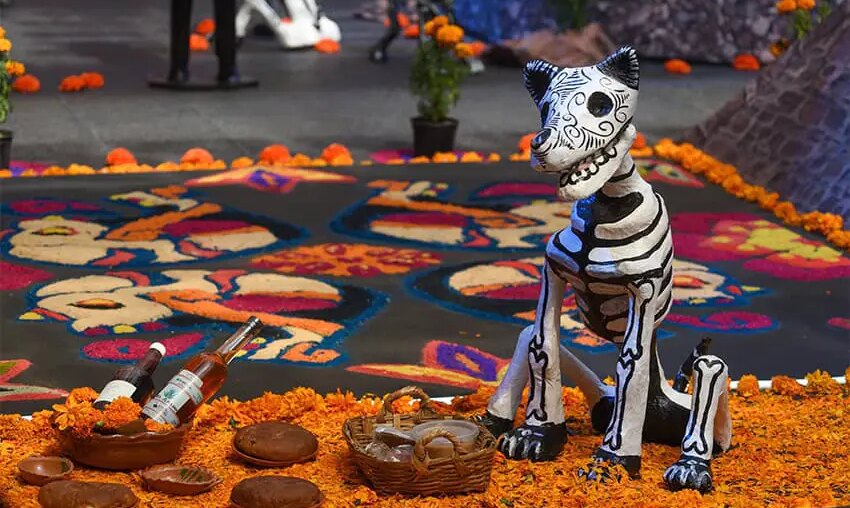 A paper mache dog skeleton sits on a bed of marigolds at a Day of the Dead altar in Mexico City.