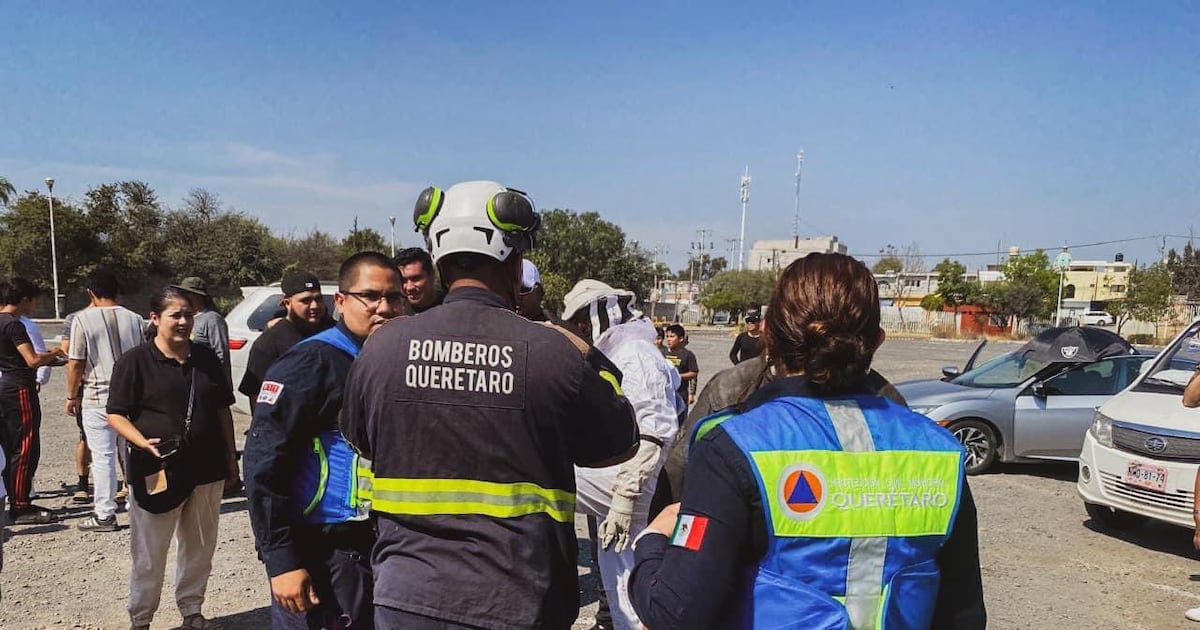 Rudeza innecesaria: Atacan abejas a 50 personas en juego de futbol americano en Querétaro