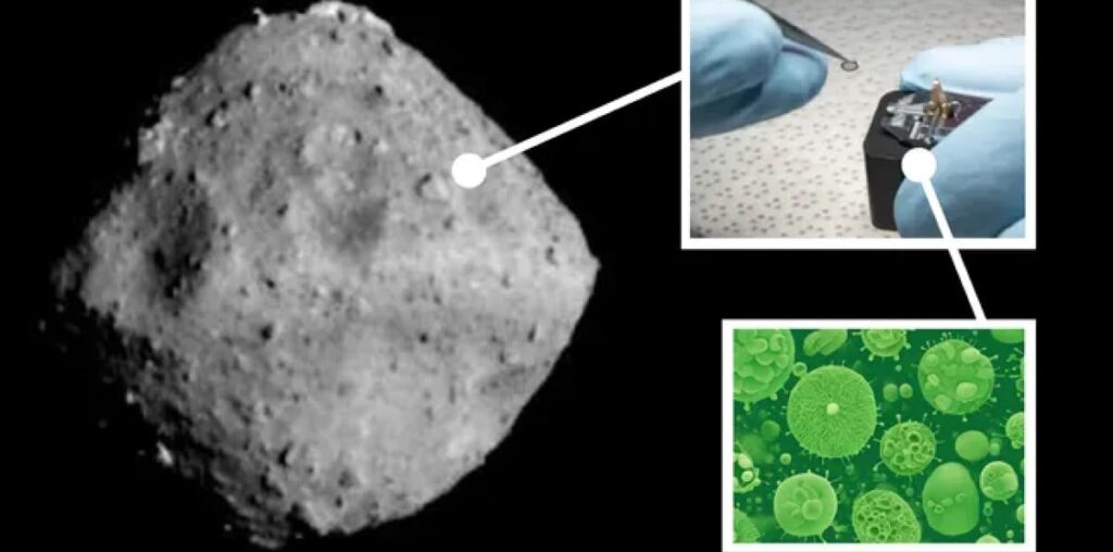 Earth Microbes Discovered in Asteroid Ryugu Sample, Raises Contamination Concerns