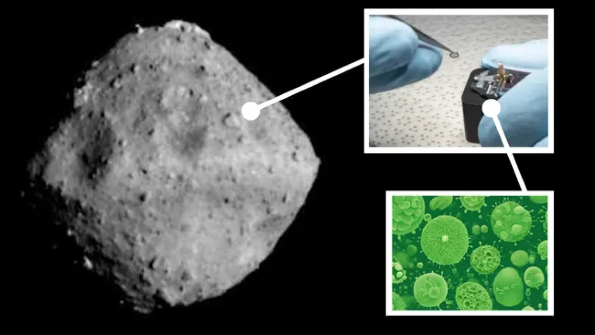 Ryugu Sample Study Reveals Earth Microbes Colonising Asteroid Material