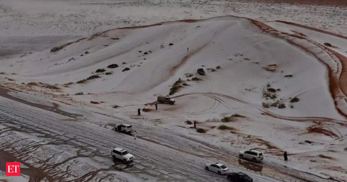 Saudi Arabian desert turns into winter wonderland after first-ever snowfall