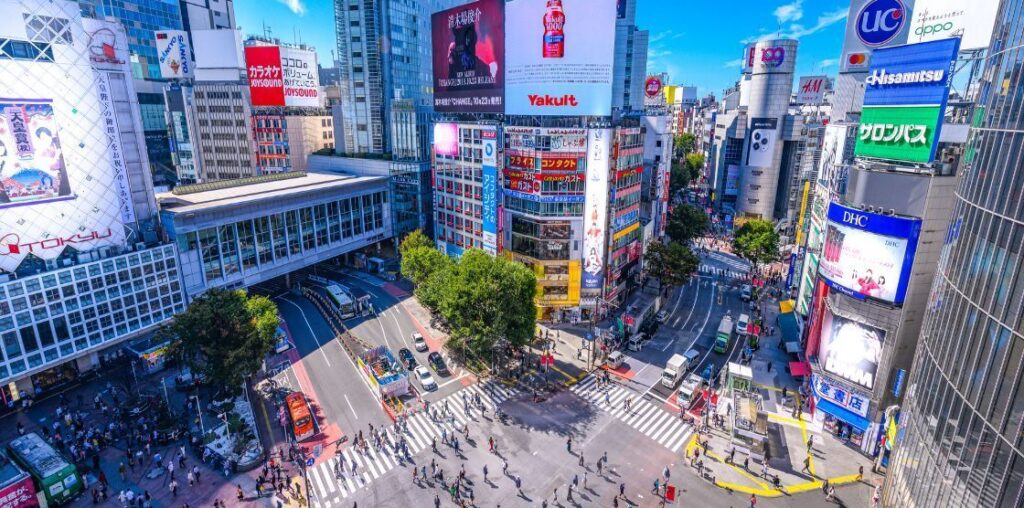 See the Sights of Tokyo and Mt. Fuji from Shibuya