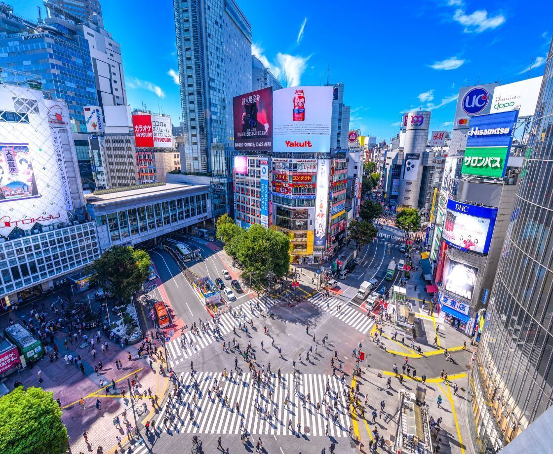 See the Sights of Tokyo and Mt. Fuji from Shibuya