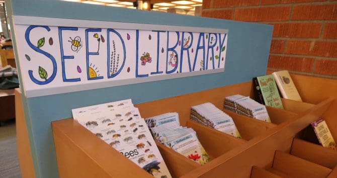 Seed Library at Rinconada