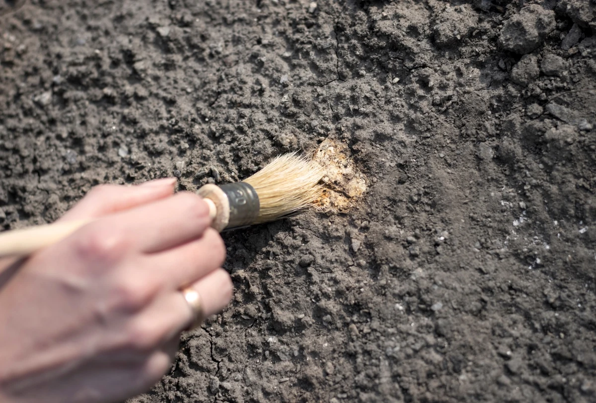 Sensacja archeologiczna pod Pomiechówkiem. Odkryto skarb z XVII wieku wart setki tysięcy