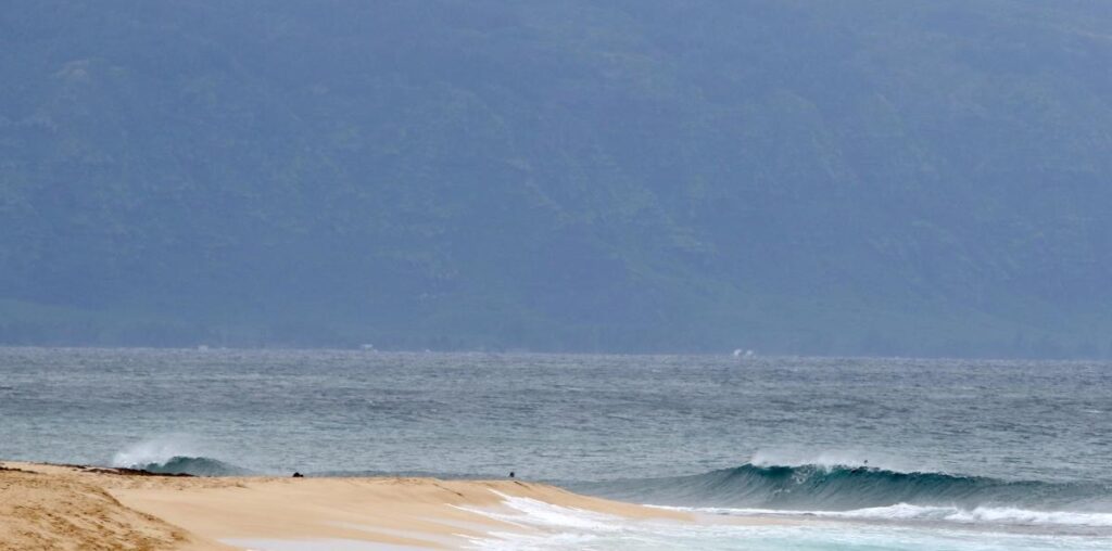 Shark bites 61-year-old Maui surfer, completely severing his leg below the knee