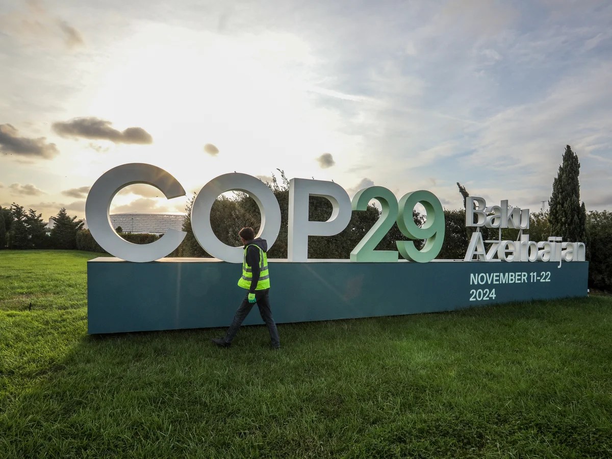 Silencing the Climate Fight: COP29 and Global Activist Repression