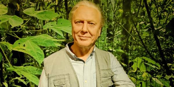 Sir David Attenborough’s AI voice clone – level 1 – News in Levels