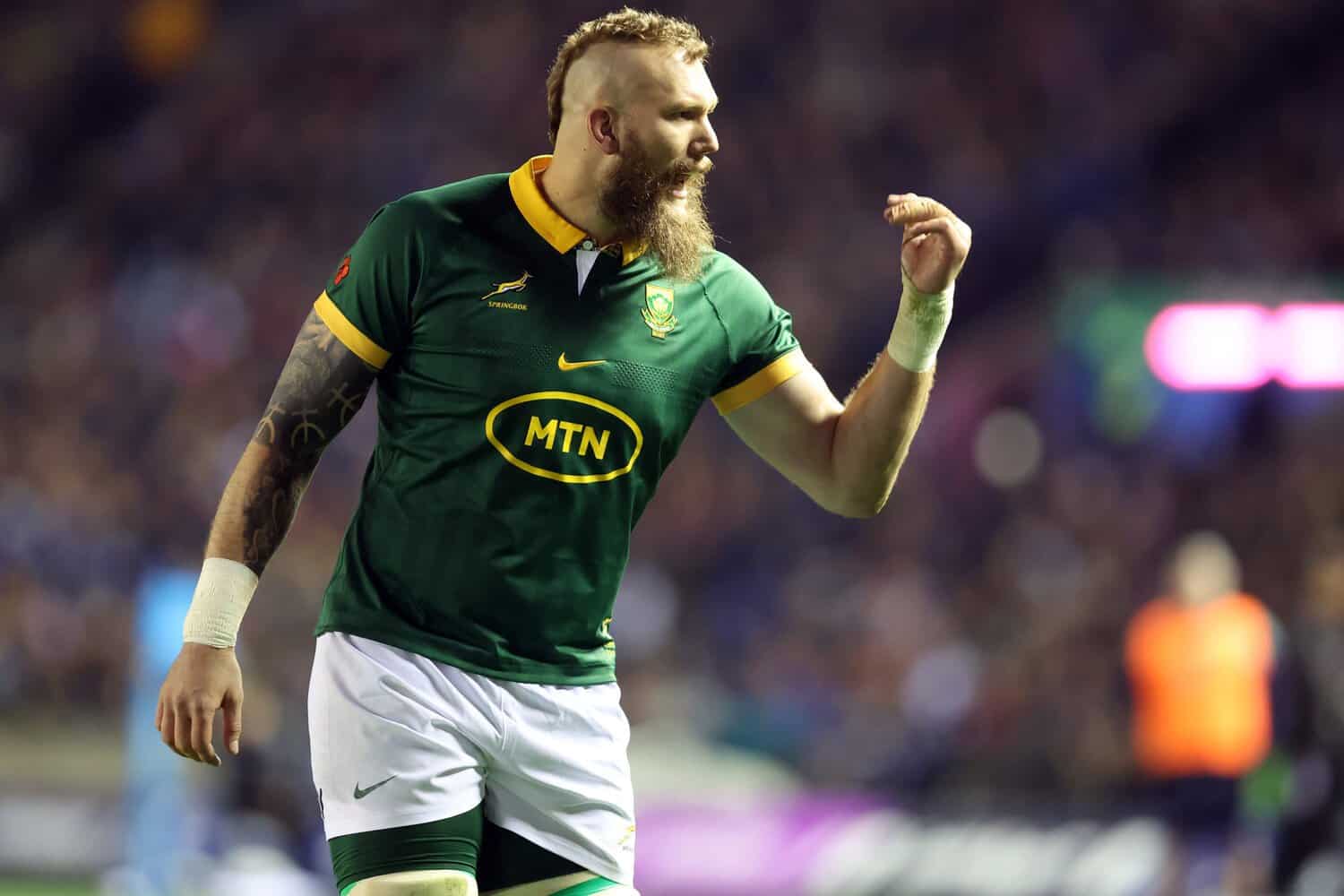 Springbok player ratings from 32-15 win against Scotland | The Citizen