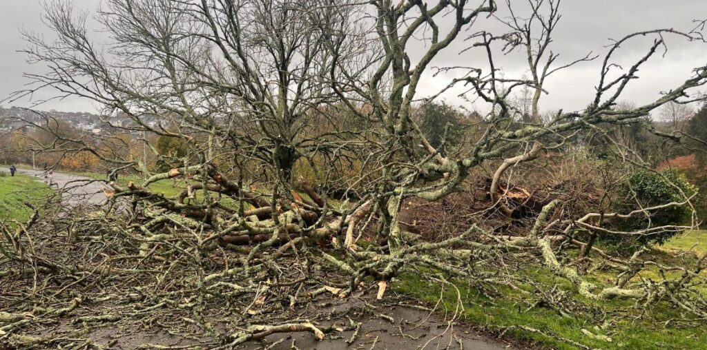 Storm Bert brings wind and rain to the South West