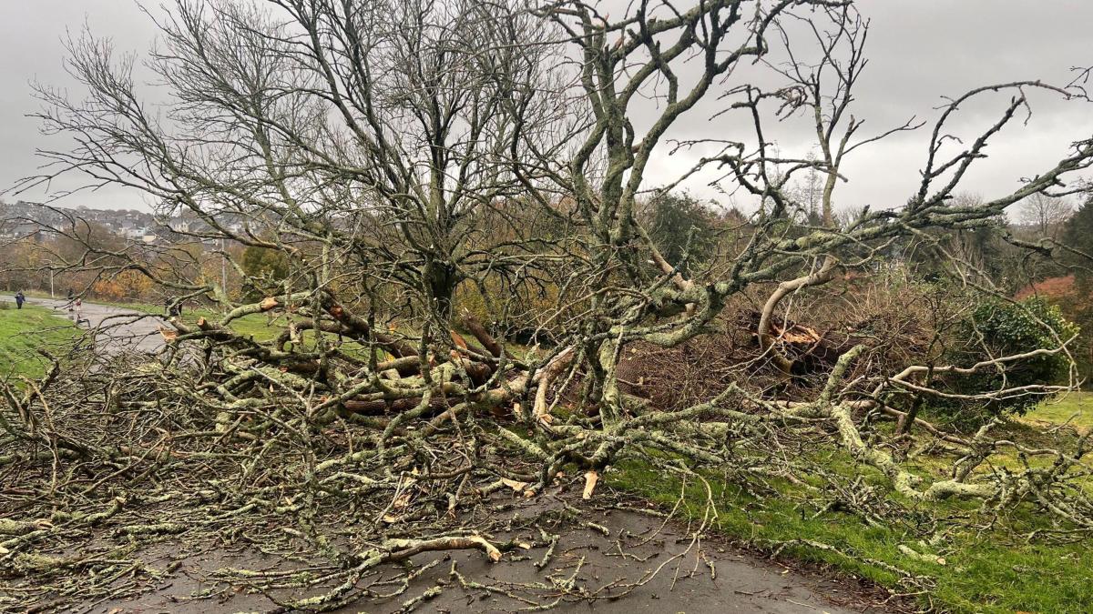 Storm Bert brings wind and rain to the South West