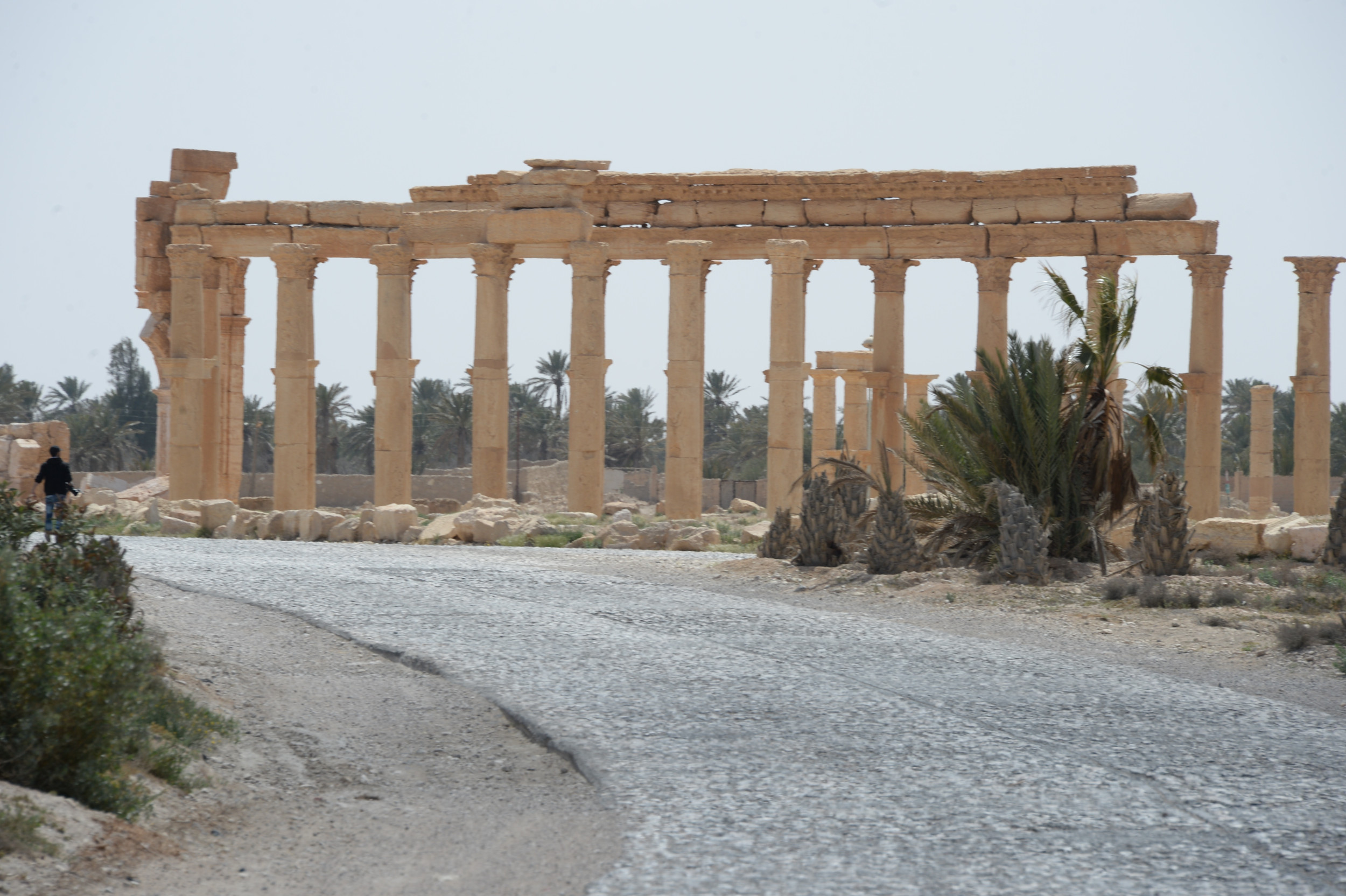 Strike on historic Palmyra kills 36, Syria blames Israel