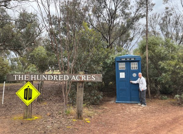 TARDIS Bus Shelter