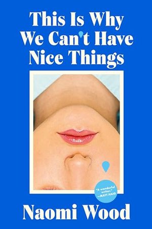 THIS IS WHY WE CAN’T HAVE NICE THINGS | Kirkus Reviews