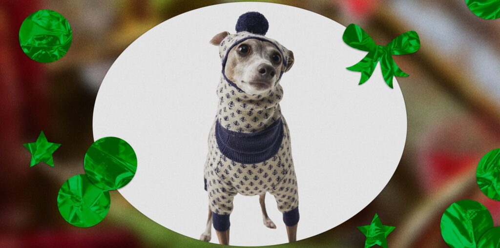 The 26 Best Gifts For Dogs, Cats, And Their Humans