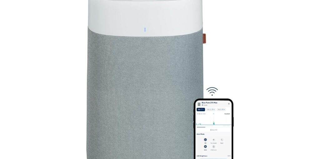 Blueair Air Purifier