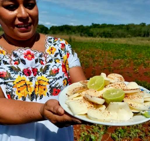 The Jícama Festival is held in Maxcanú, Yucatan – The Yucatan Times