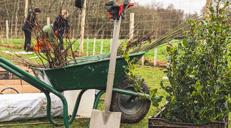 The National Tree Week 2024 lunches today – Farmers Guide