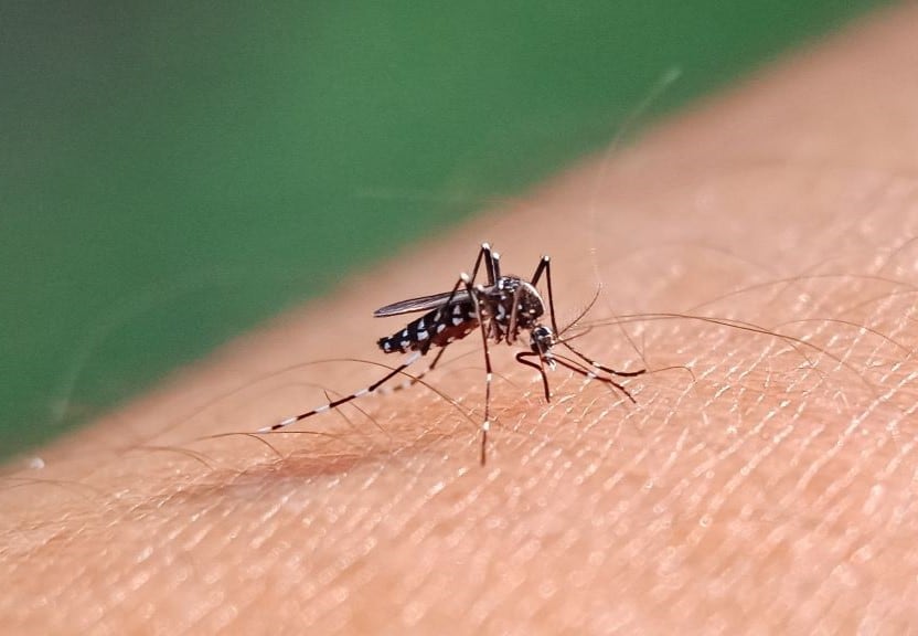 The doctor fighting dengue in Oaxaca