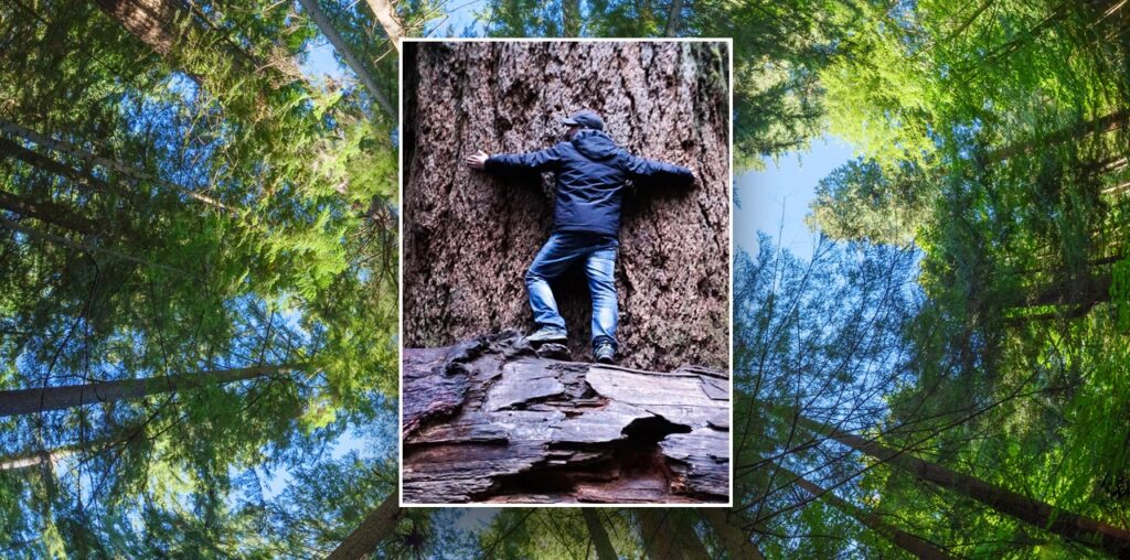 The world's oldest Douglas fir trees have lived over 1,000 years