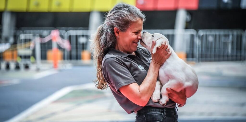 'They love their food': why teaching the next generation of guide dogs is harder than you think