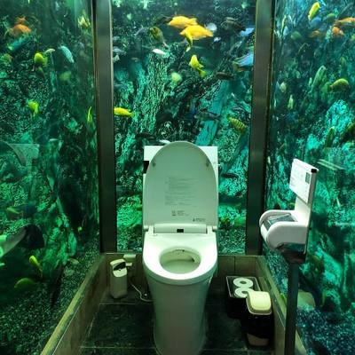 This Restaurant’s Aquarium Bathroom, for Female Patrons Only  – Core77