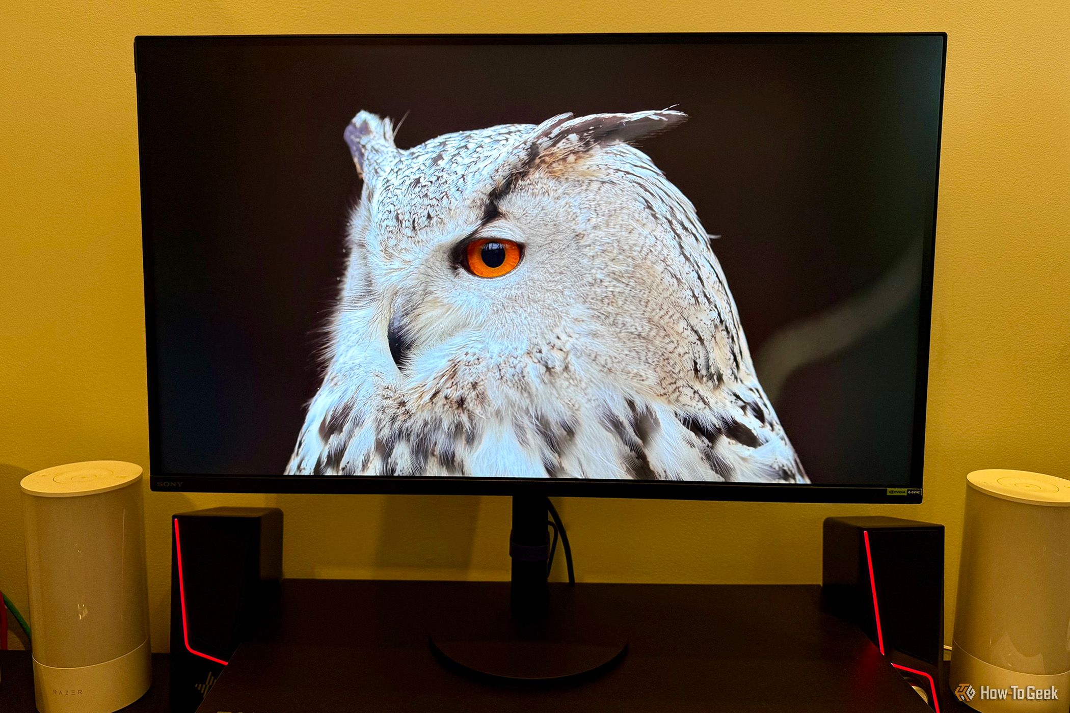 This Sony 4K Monitor Brought My PC and PlayStation Gaming To The Next Level