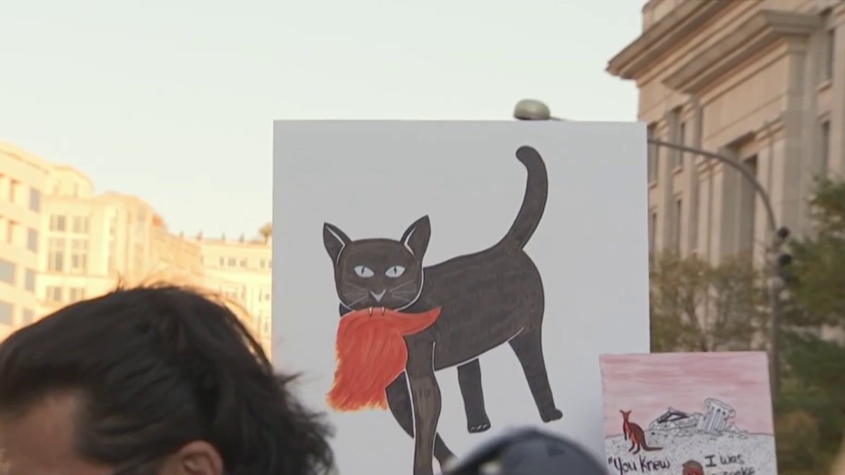 Thousands gather in Downtown DC in support of women’s rights ahead of election