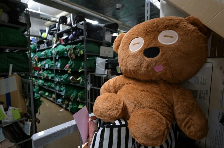 Tokyo police care for lost umbrellas, keys, flying squirrels