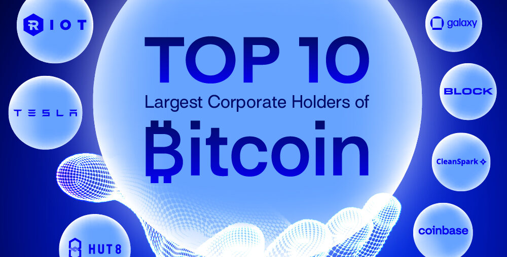 Preview of a proportional bubbles chart showing the top 10 corporate holders of bitcoin