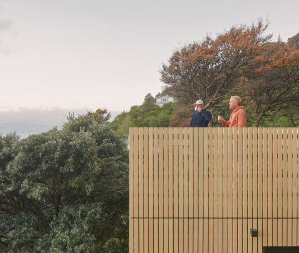 Towering house extension in New Zealand mimics "childhood treehouse"