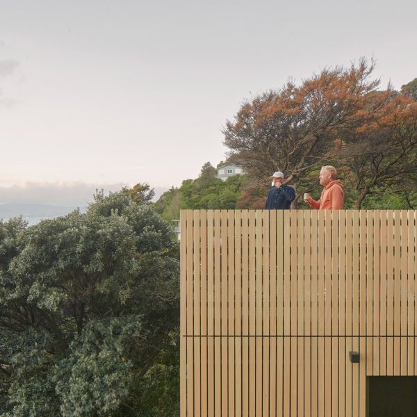 Towering house extension in New Zealand mimics “childhood treehouse”