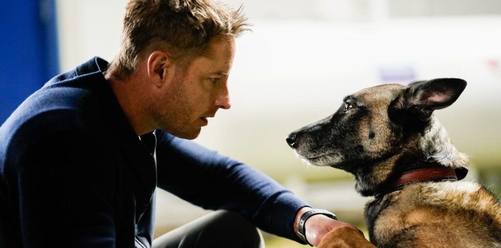 Colter comes face-to-face with an adorable dog during Tracker Season 2 Episode 7.