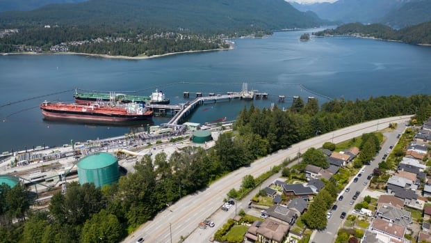 Trans Mountain pipeline is worth less than it cost to build: parliamentary budget office | CBC News