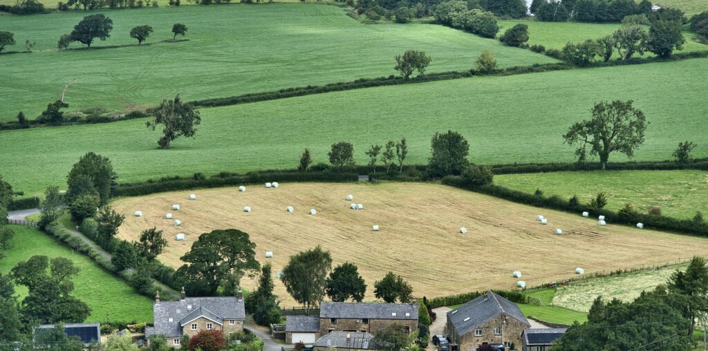 Tree species guide unlocks benefits for UK farmers