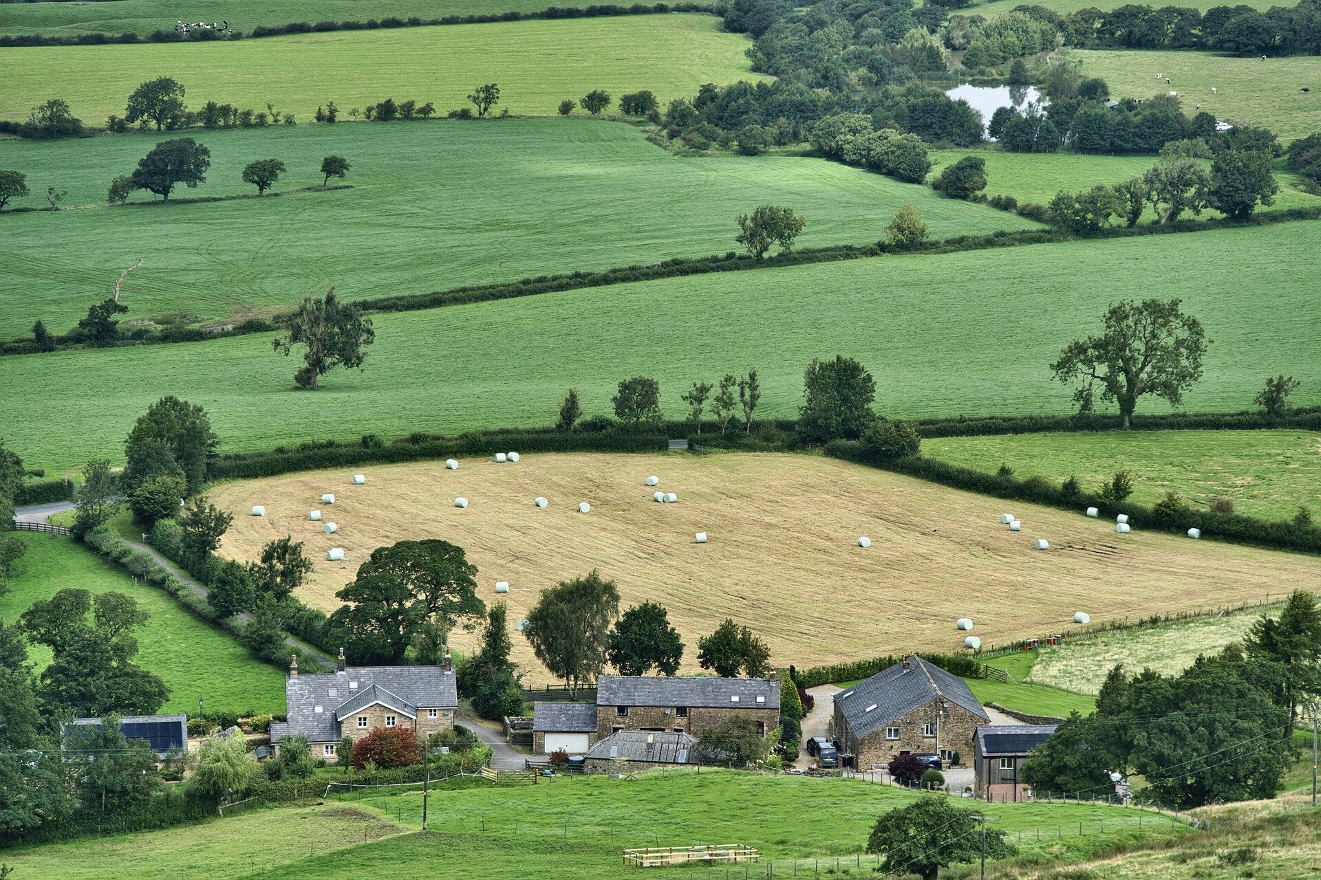 Tree species guide unlocks benefits for UK farmers