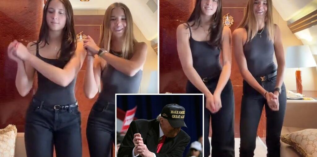 Trump’s granddaughter Kai does his iconic YMCA dance on board private jet