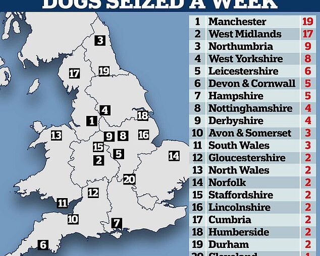 'UK's dangerous dog hotspots': Map reveals where most dogs are seized with 114 taken every week