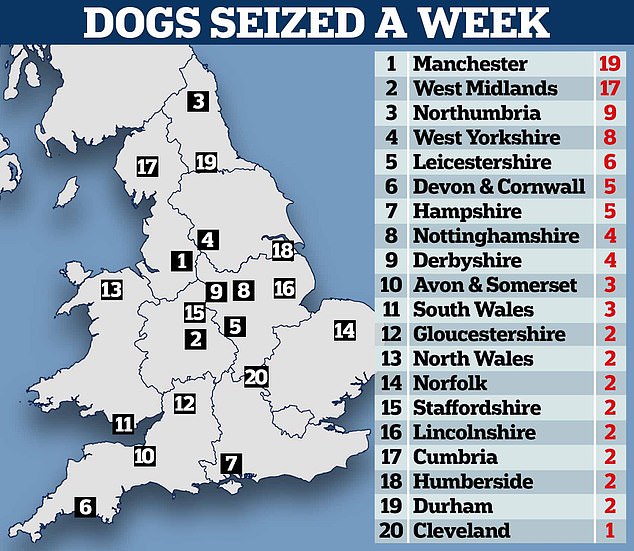 ‘UK’s dangerous dog hotspots’: Map reveals where most dogs are seized with 114 taken every week